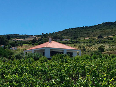 Casa falcão